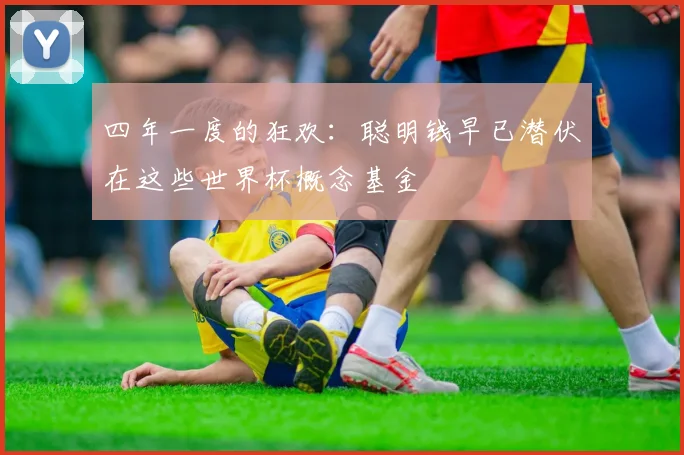 四年一度的狂欢:聪明钱早已潜伏在这些世界杯概念基金