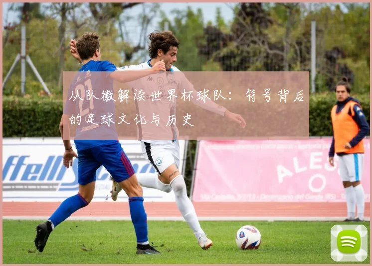 从队徽解读世界杯球队：符号背后的足球文化与历史