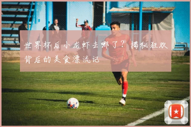 世界杯后小龙虾去哪了？揭秘狂欢背后的美食漂流记