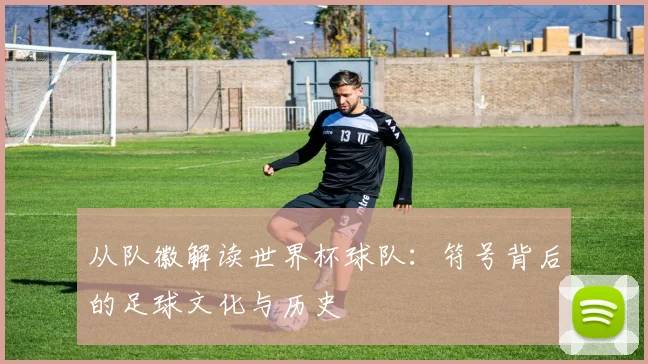 从队徽解读世界杯球队：符号背后的足球文化与历史