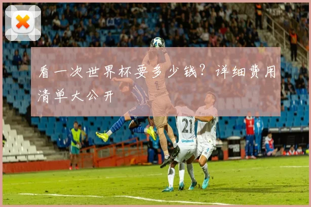 看一次世界杯要多少钱？详细费用清单大公开