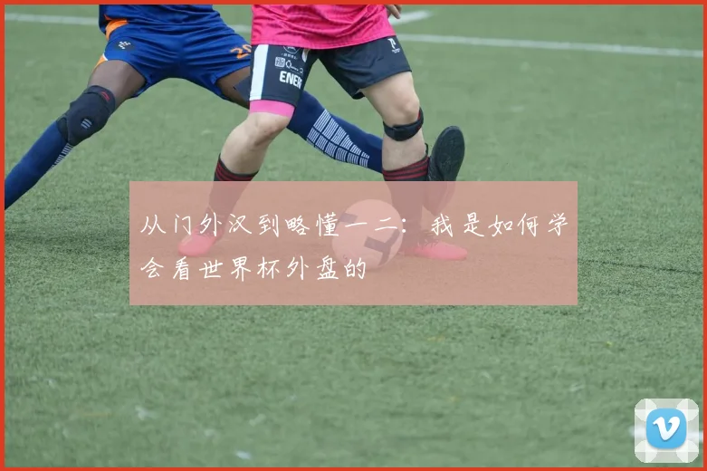 从门外汉到略懂一二：我是如何学会看世界杯外盘的