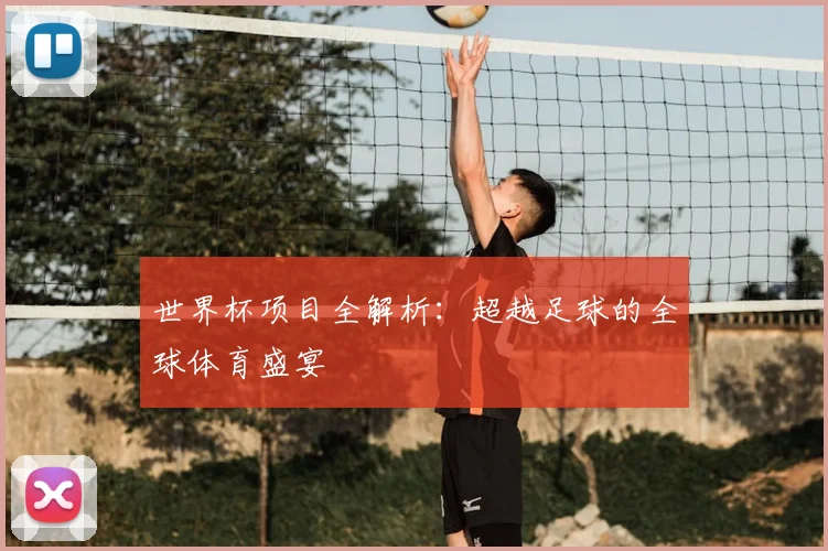 世界杯项目全解析：超越足球的全球体育盛宴